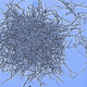 Illustration for article titled The Weird Fungus That Lives In Your Gut